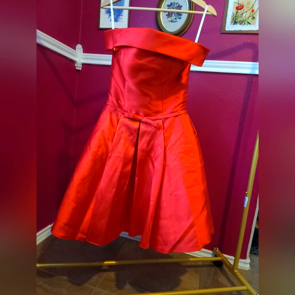 Bye bye birdie dress